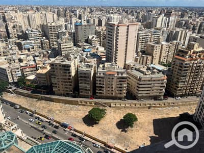 شقة 3 غرف نوم للايجار في سان ستيفانو، الإسكندرية - WhatsApp Image 2026-10-06 at 12.49. 14 PM (1). jpeg