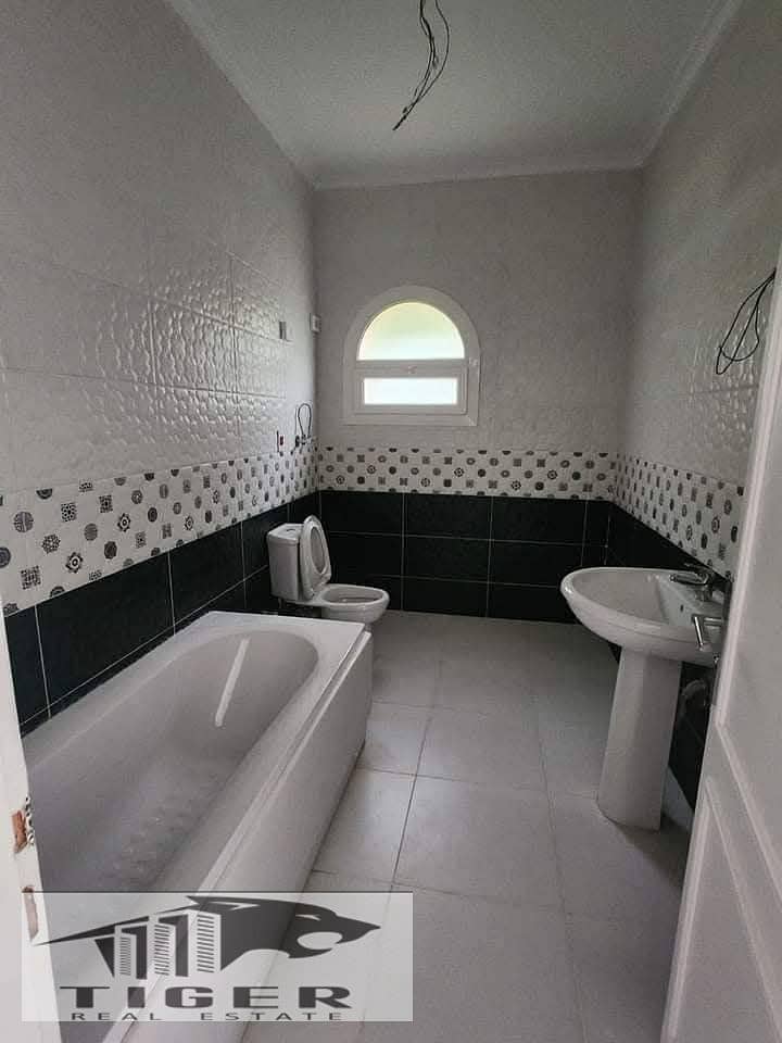 7 272047. jpg