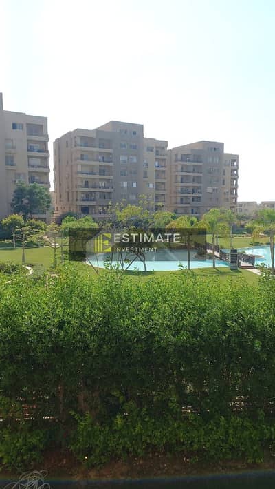 3 Bedroom Flat for Rent in New Cairo, Cairo - WhatsApp Image 2026-10-03 at 6.03. 06 PM (1). jpeg 3 Bedroom Flat for Rent in New Cairo, Cairo - WhatsApp Image 2026-10-03 at 6.03. 06 PM (1). jpeg