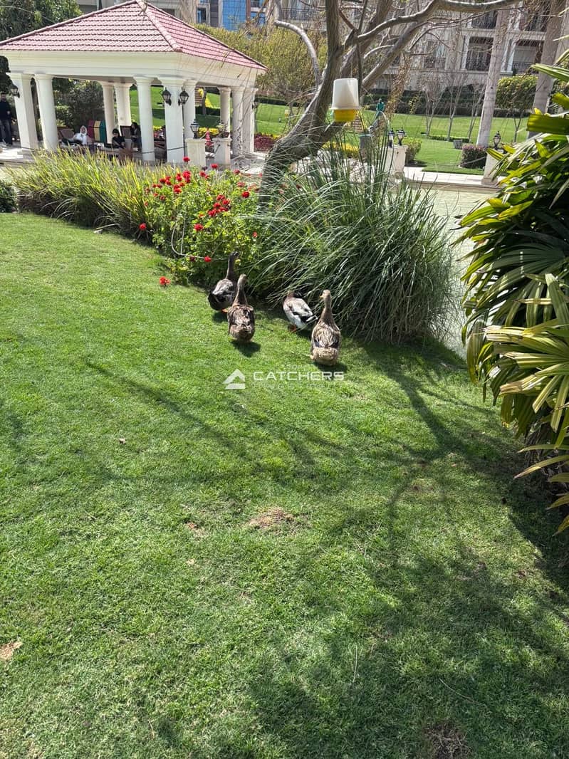 7 WhatsApp Image 2026-10-06 at 3.00. 22 PM. jpeg