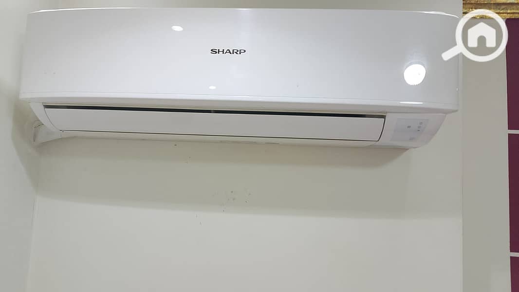 5 1000330430. jpg
