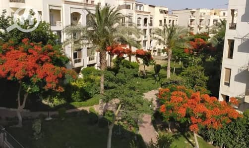 شقة 2 غرفة نوم للايجار في الشيخ زايد، الجيزة - 8431926-f7b3ao. jpg شقة 2 غرفة نوم للايجار في الشيخ زايد، الجيزة - 8431926-f7b3ao. jpg