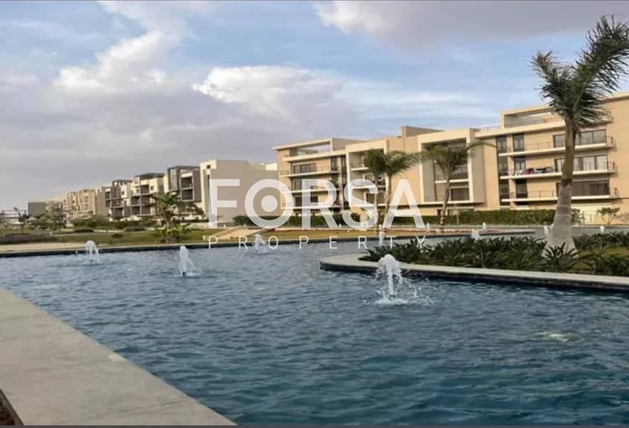 4 342828967_203688272443268_2650987997171866406_n. jpg