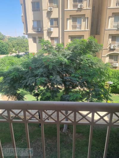 شقة 3 غرف نوم للايجار في مدينتي، القاهرة - 1001080609. jpg شقة 3 غرف نوم للايجار في مدينتي، القاهرة - 1001080609. jpg