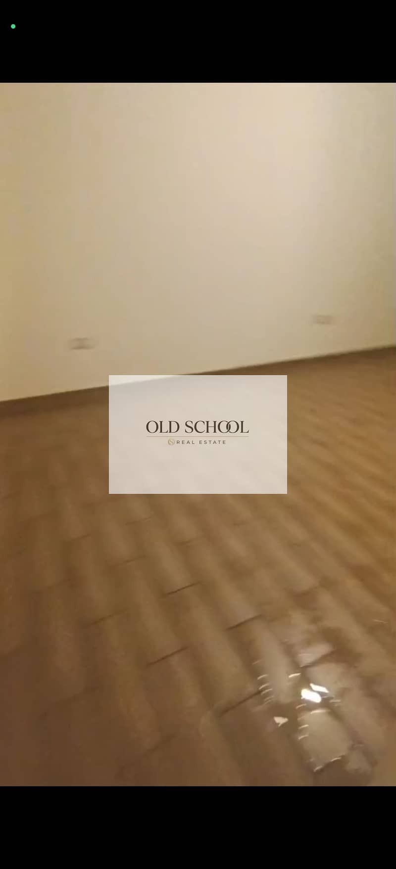 5 156221. jpg