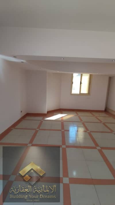 2 Bedroom Apartment for Rent in New Cairo, Cairo - 81434. jpg 2 Bedroom Apartment for Rent in New Cairo, Cairo - 81434. jpg