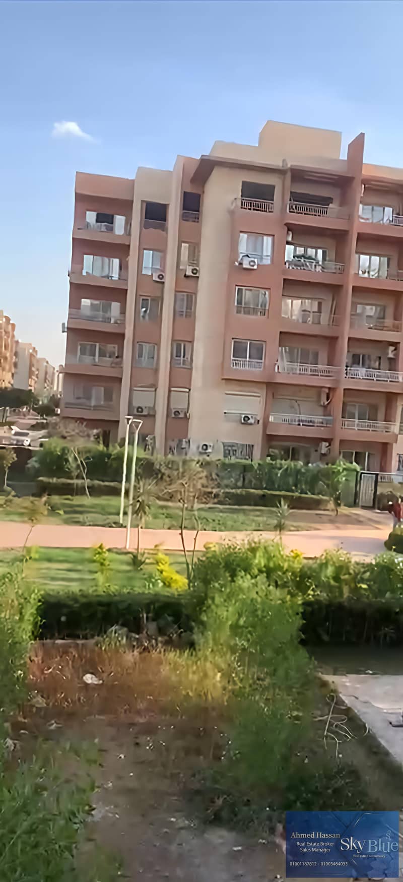 6 415451. jpg