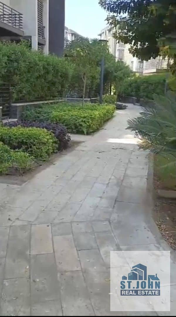 4 1001533687. jpg