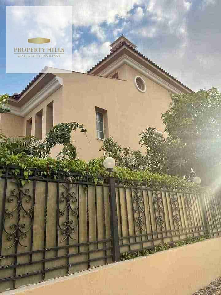 3 1000405751. jpg