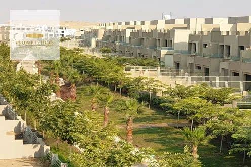 10 IMG_5127. webp
