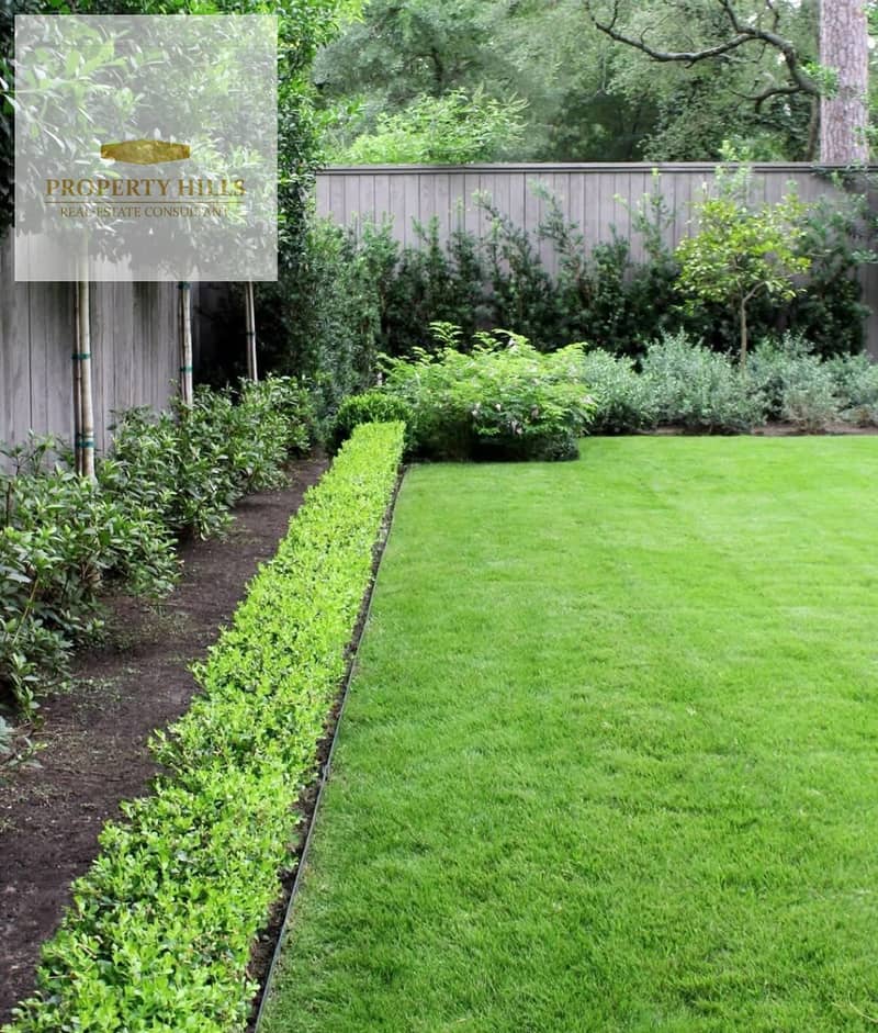 3 IMG_5453. jpg