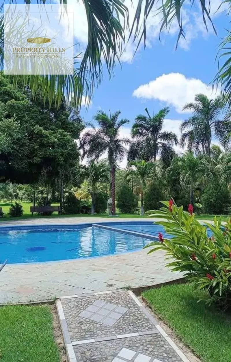 90592. jpg 90592. jpg