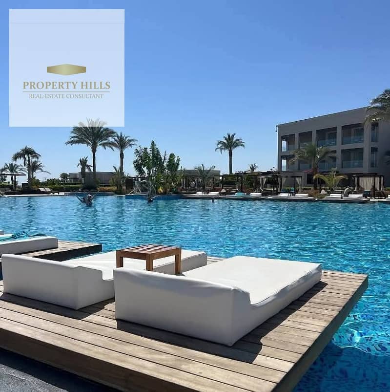 7 16903. jpg