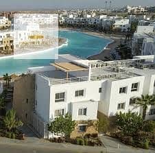 download. jpg download. jpg