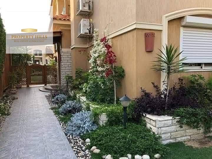 5 325153. jpg
