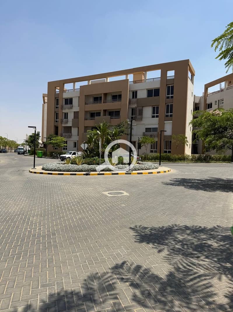 3 03-Compound. jpg