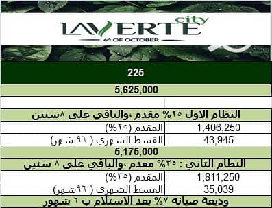 8 ded8ef30-4d21-466a-bc18-ddb0aaeead4a. jpg