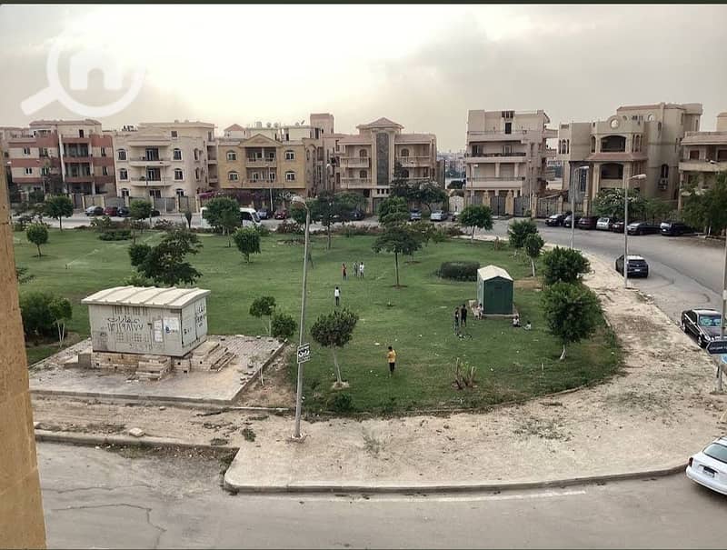 6 520357. jpg