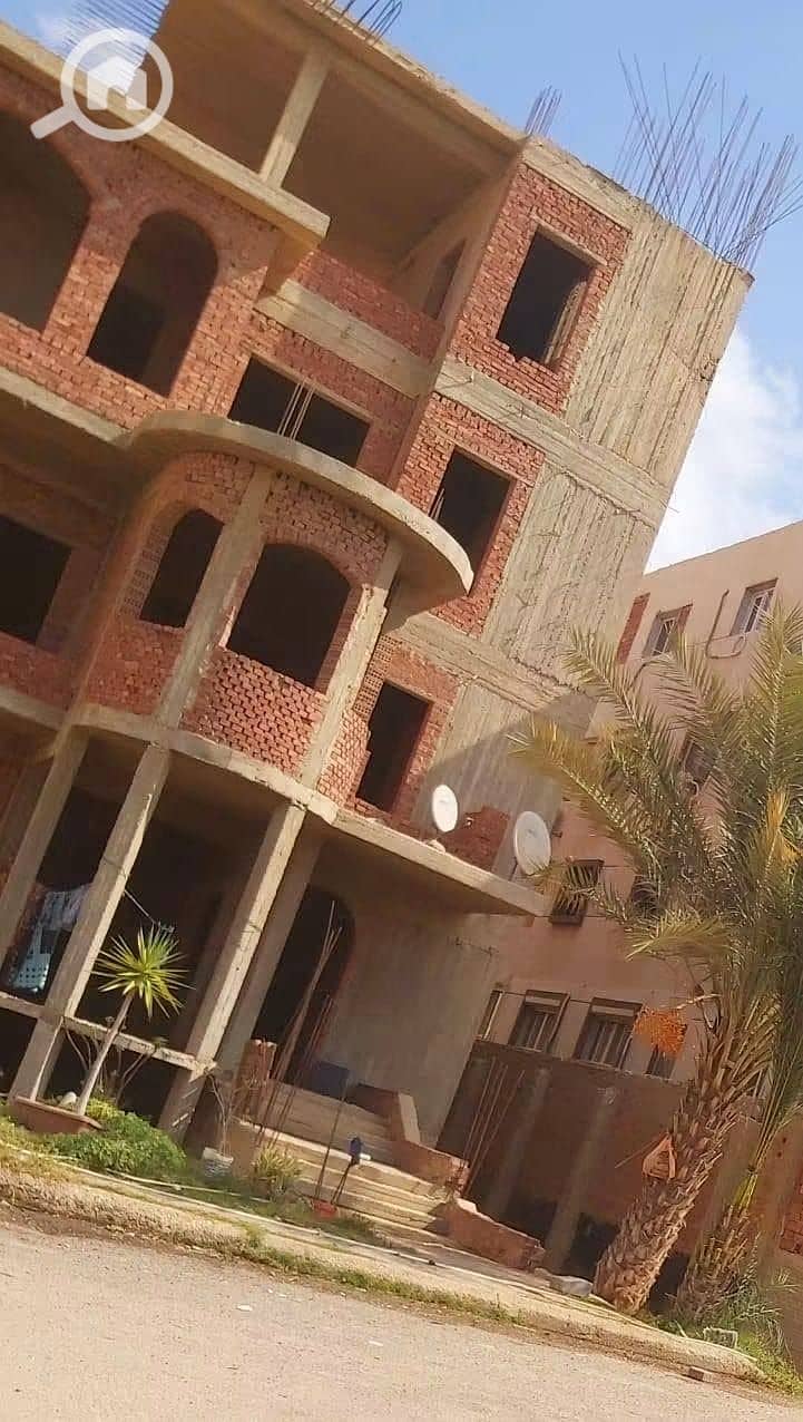 11 520355. jpg