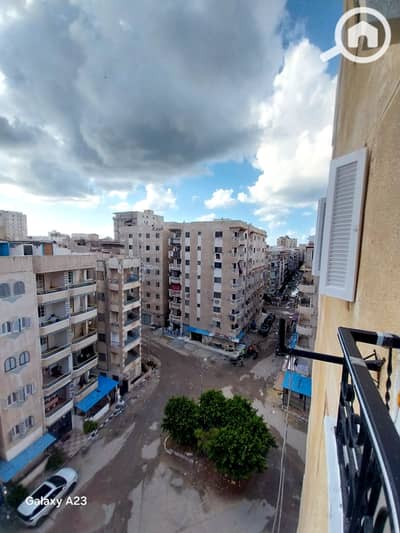 3 Bedroom Apartment for Sale in Nakheel, Alexandria - 1000523152. heic 3 Bedroom Apartment for Sale in Nakheel, Alexandria - 1000523152. heic