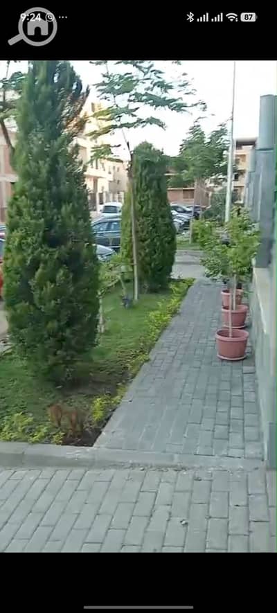 فلیٹ 3 غرف نوم للبيع في القاهرة الجديدة، القاهرة - 520412. jpg فلیٹ 3 غرف نوم للبيع في القاهرة الجديدة، القاهرة - 520412. jpg