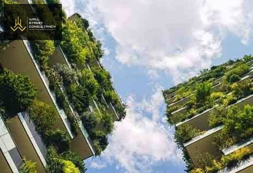 2 original (2). jpg