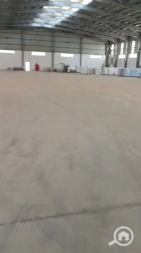 12 1000688715. jpg