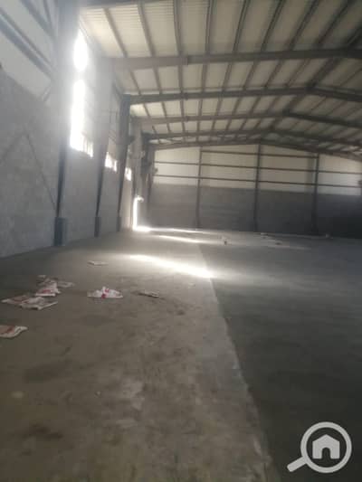 Factory for Sale in 10th of Ramadan, Sharqia - 1000691299. jpg