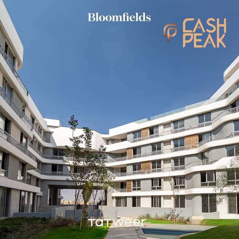 6 1000318252. jpg