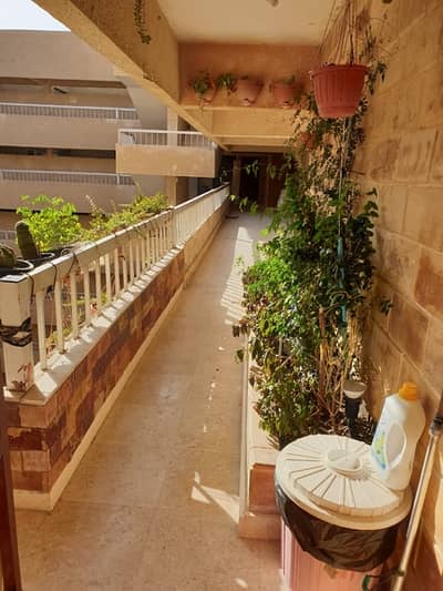 3 Bedroom Flat for Sale in 6th of October, Giza - شقه في الفردوس شرطه ٦ اكتوبر 3 Bedroom Flat for Sale in 6th of October, Giza - شقه في الفردوس شرطه ٦ اكتوبر
