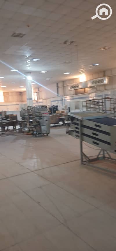 Factory for Sale in 10th of Ramadan, Sharqia - 1000553039. jpg