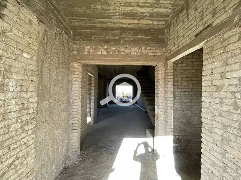 5 585401. jpg