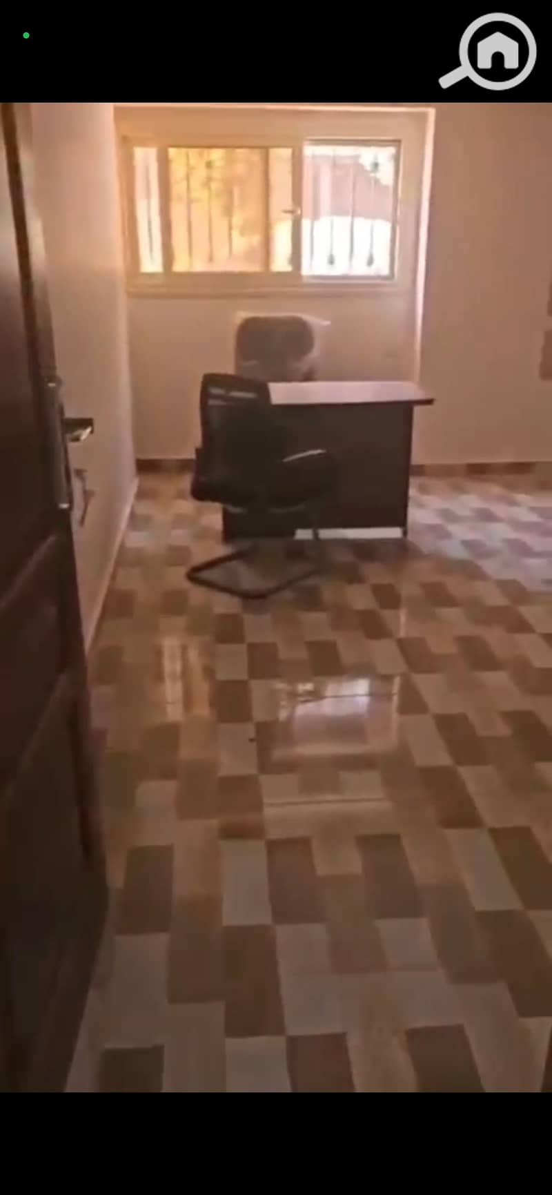 3 982050. jpg