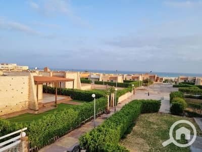 3 Bedroom Chalet for Sale in North Coast, Matruh - 1000144978. jpg 3 Bedroom Chalet for Sale in North Coast, Matruh - 1000144978. jpg