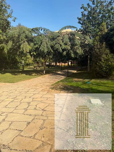 3 Bedroom Flat for Sale in Madinaty, Cairo - WhatsApp Image 2026-10-06 at 3.15. 55 PM (1). jpeg
