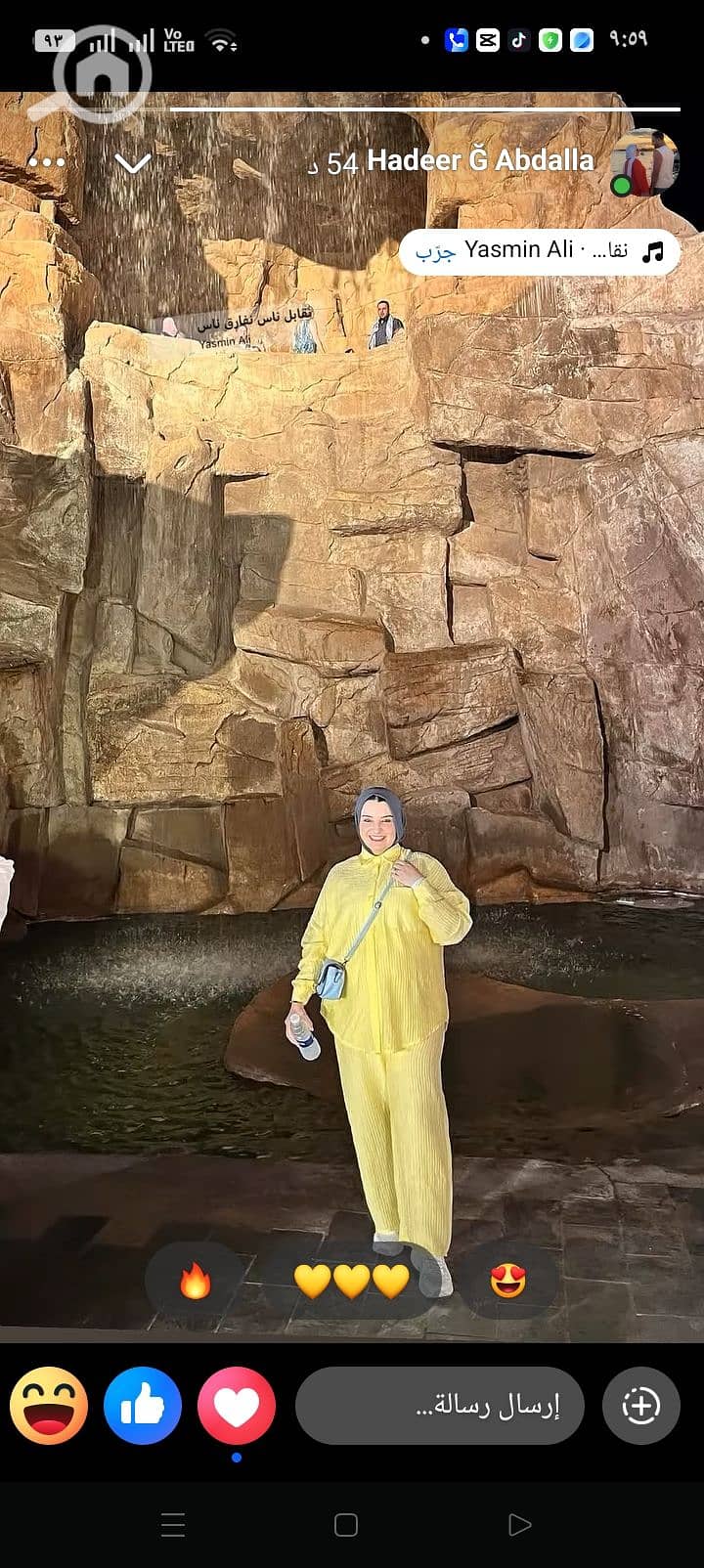 7 336085. jpg