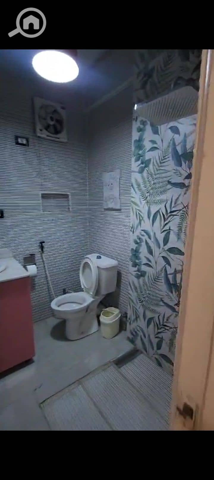 8 1000269254. jpg