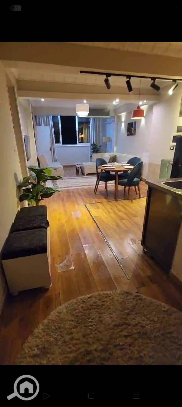 19 1000269239. jpg