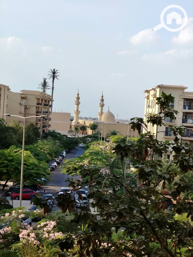 17 1000725631. jpg
