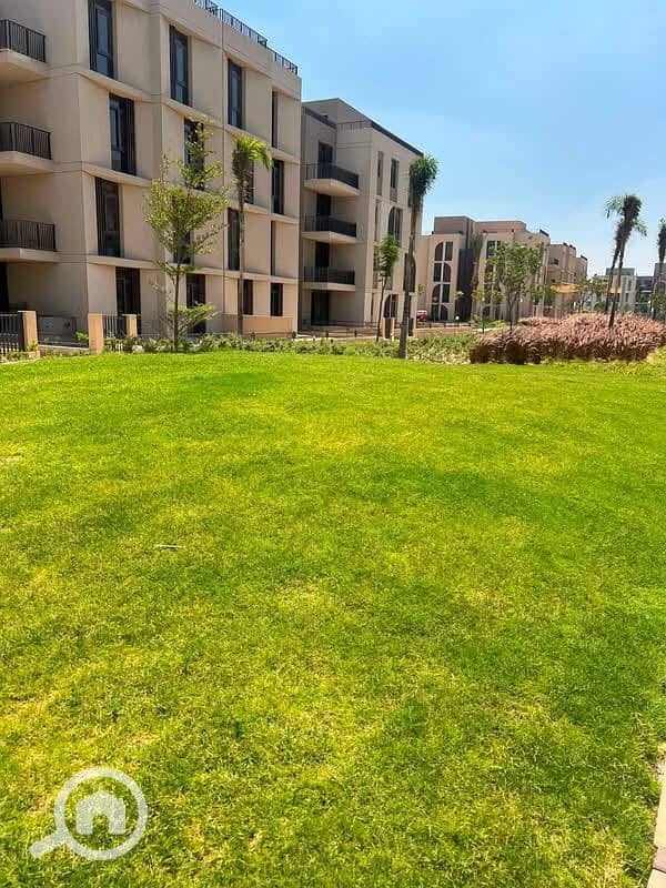 9 1000287981. jpg