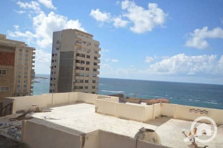 شقة 2 غرفة نوم للبيع في العصافرة، الإسكندرية - 1791241017223. jpg شقة 2 غرفة نوم للبيع في العصافرة، الإسكندرية - 1791241017223. jpg