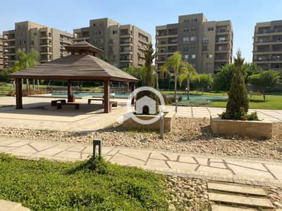 3 Bedroom Flat for Rent in New Cairo, Cairo - WhatsApp Image 2026-10-07 at 1.57. 22 PM. jpeg
