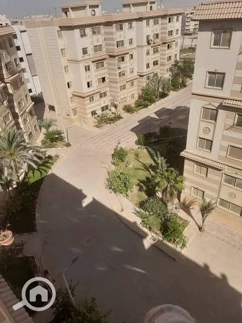 16 57424. jpg