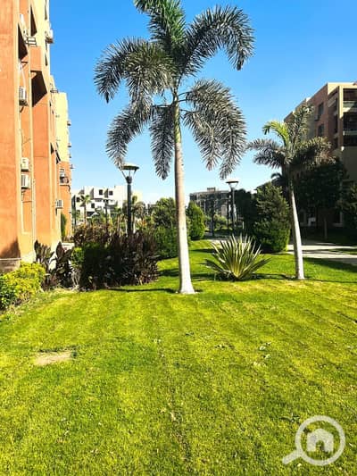 2 Bedroom Flat for Rent in Madinaty, Cairo - 1000634326. jpg