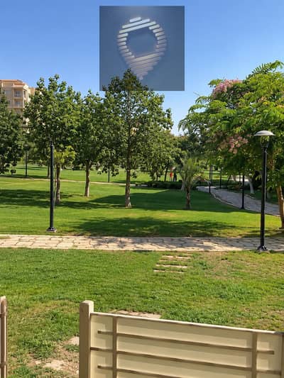 3 Bedroom Apartment for Sale in Madinaty, Cairo - WhatsApp Image 2026-10-07 at 3.38. 23 PM. jpeg 3 Bedroom Apartment for Sale in Madinaty, Cairo - WhatsApp Image 2026-10-07 at 3.38. 23 PM. jpeg