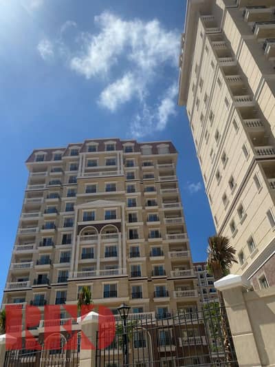 شقة 3 غرف نوم للبيع في محرّم بيك، الإسكندرية - WhatsApp Image 2026-10-06 at 4.47. 59 PM (2). jpeg شقة 3 غرف نوم للبيع في محرّم بيك، الإسكندرية - WhatsApp Image 2026-10-06 at 4.47. 59 PM (2). jpeg