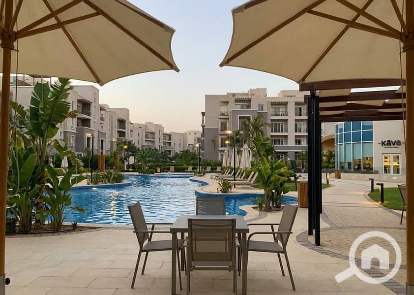 3 1000288188. jpg