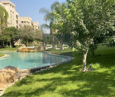 2 Bedroom Apartment for Rent in New Cairo, Cairo - 00000000. jpg