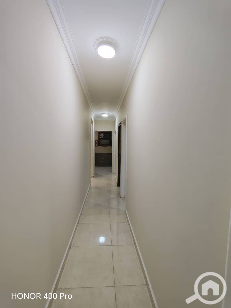 8 299087. jpg