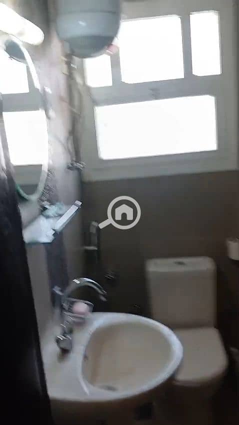 4 587168. jpg